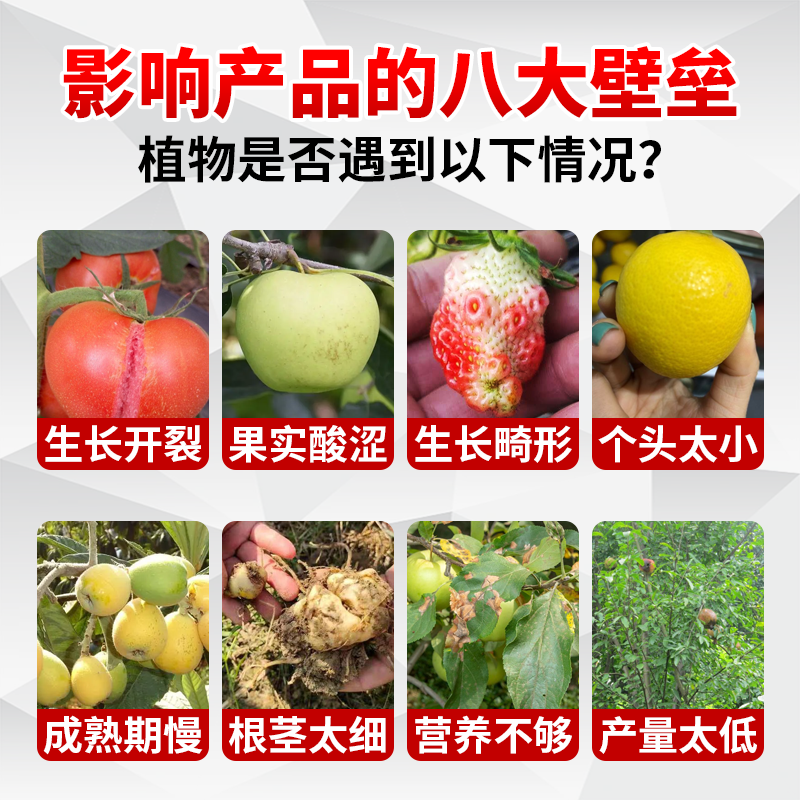 渔快含氨基酸水溶肥叶面肥提质增产茎秆粗壮雷沃生物直销