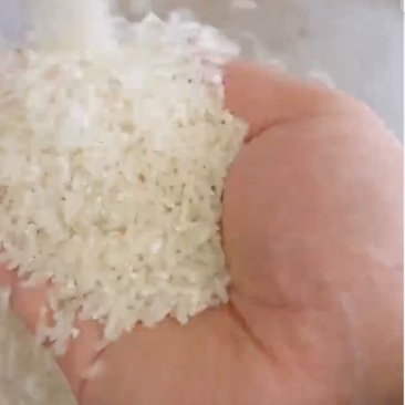 长粒香软香大米，宿迁瑞穗大米，家庭用米，米价不含运费