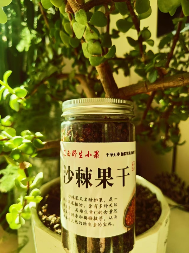野生中华小果沙棘果干
