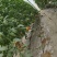 硬粉沙瓤番茄，大量有货对接全国市场，欢迎新老客户前来合作