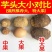 【极速发货】2024年山东新鲜牛奶小芋头毛芋头牛奶香软糯芋艿