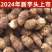 【极速发货】2024年山东新鲜牛奶小芋头毛芋头牛奶香软糯芋艿