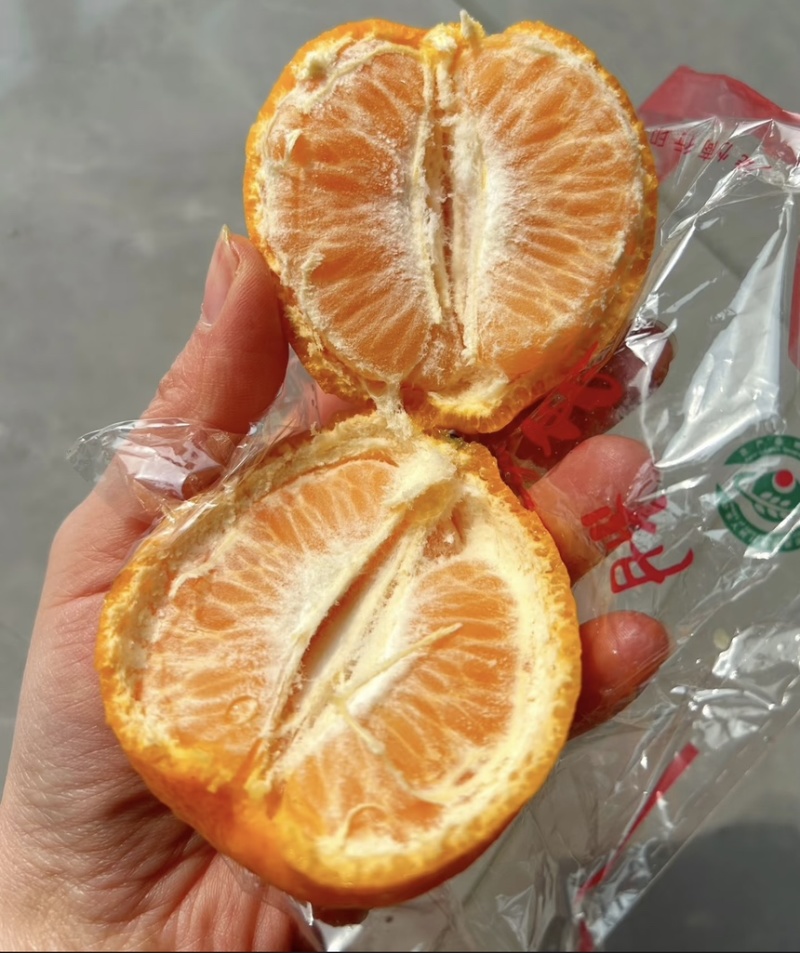 [精品】芦柑-碰柑口感细腻.纯甜，水分充足，可视频看货
