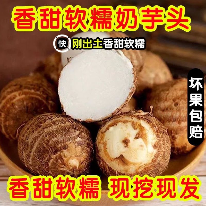 【真的好吃】丹东牛奶小芋头正宗香糯毛芋头软糯芋艿仔香芋批