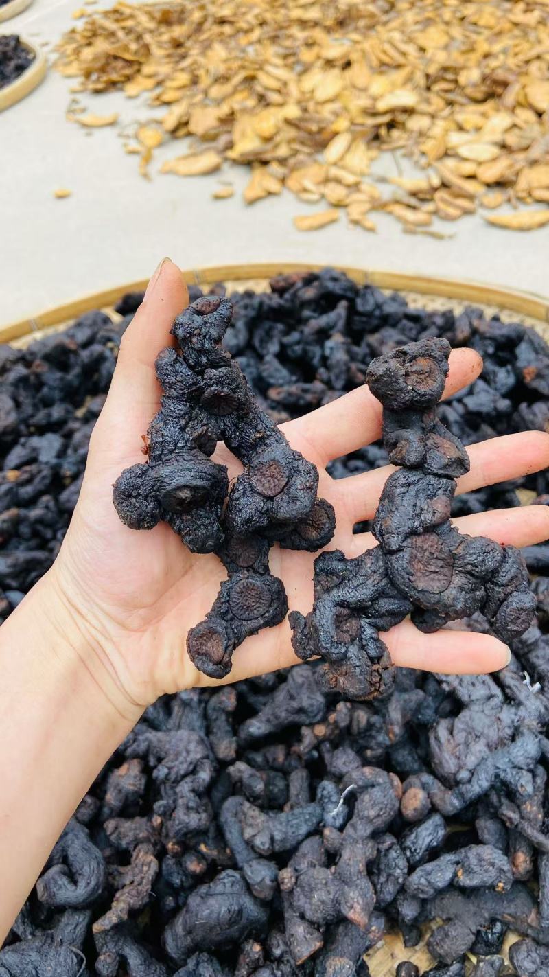 贵州野生九蒸九晒多花黄精老虎姜仙人余粮甜味足软糯