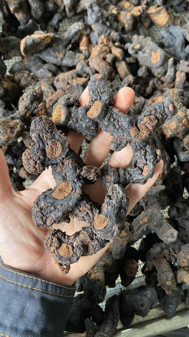 贵州野生九蒸九晒多花黄精老虎姜仙人余粮甜味足软糯