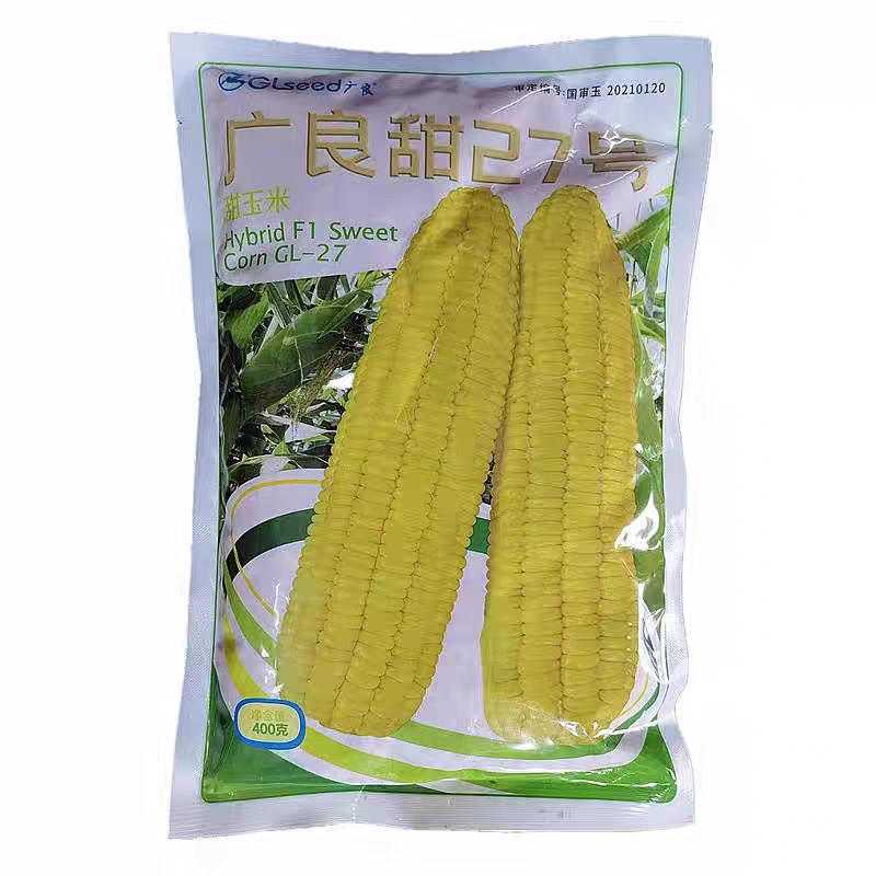 泰系太阳花广良甜27号甜玉米种子，大棒丰产好吃，基地回收