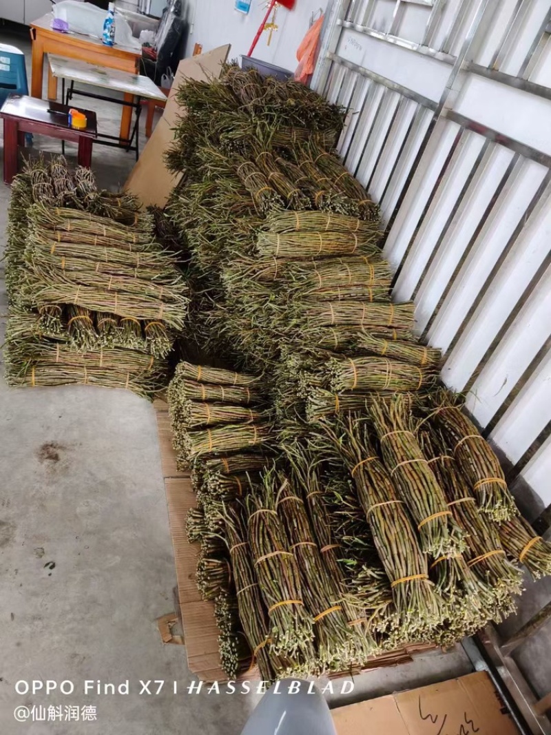 云南铁皮石斛，视频看货全国发货，对接商超市场电商社区团购