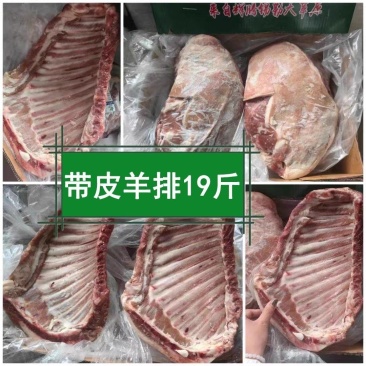 新鲜冷冻带皮羊排19斤一整箱商用批发带皮羊肋排内蒙古散养