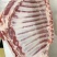 新鲜冷冻带皮羊排19斤一整箱商用批发带皮羊肋排内蒙古散养