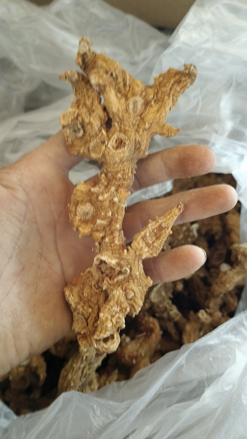 多花黄精大条子10-20CM整条干货黄精条子
