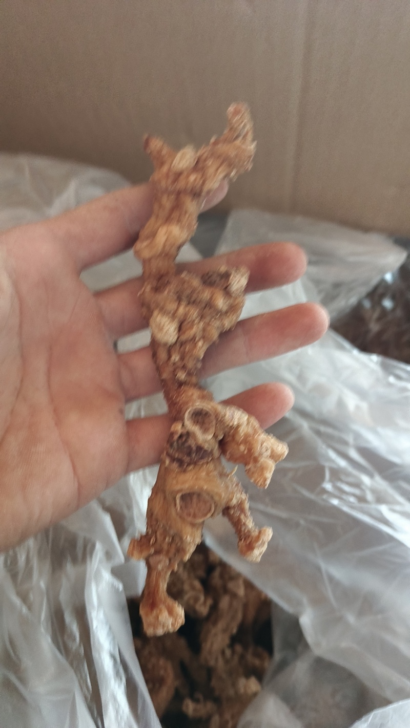 多花黄精大条子10-20CM整条干货黄精条子