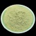 中药材淡竹叶粉金竹叶粉竹叶茶粉淡竹叶粉超细