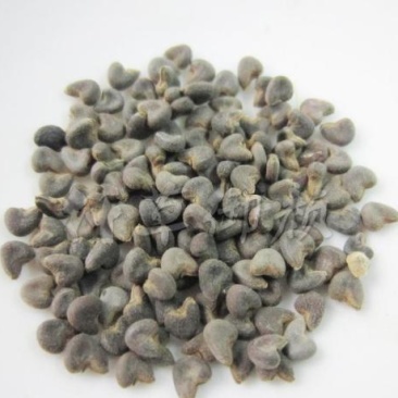 苘麻子，麻果子粉