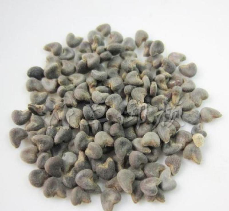 苘麻子，麻果子粉