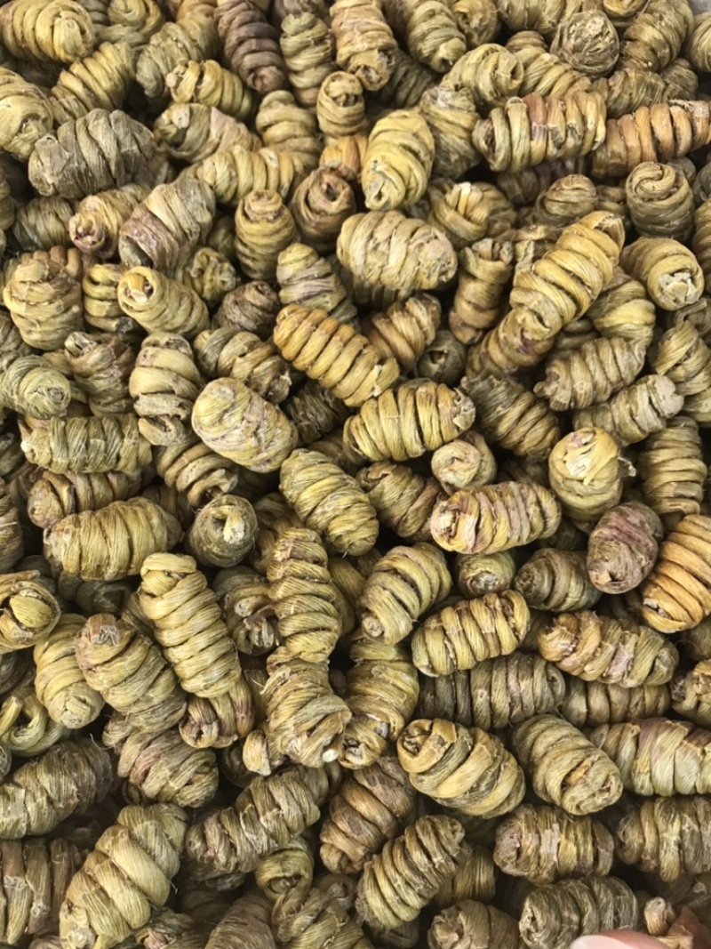 精选铁皮石斛枫斗颗粒切片干条非霍山铁皮石斛粉直接冲水喝