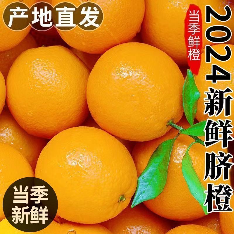 【果园速发】正宗赣南脐橙当季特橙子新鲜水果纽荷尔手剥甜橙子