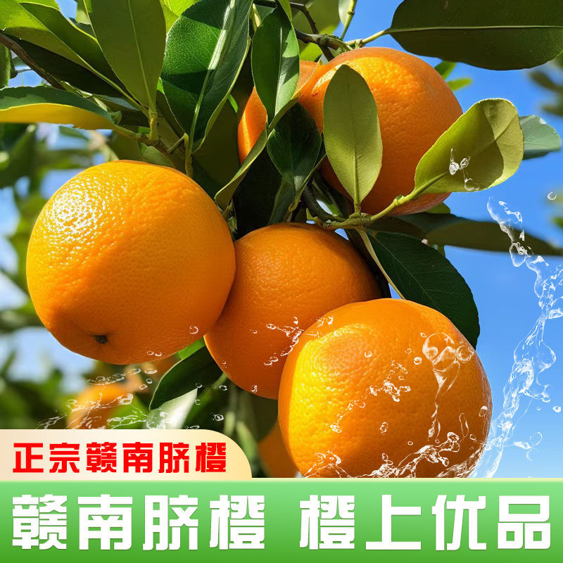 【果园速发】正宗赣南脐橙当季特橙子新鲜水果纽荷尔手剥甜橙子