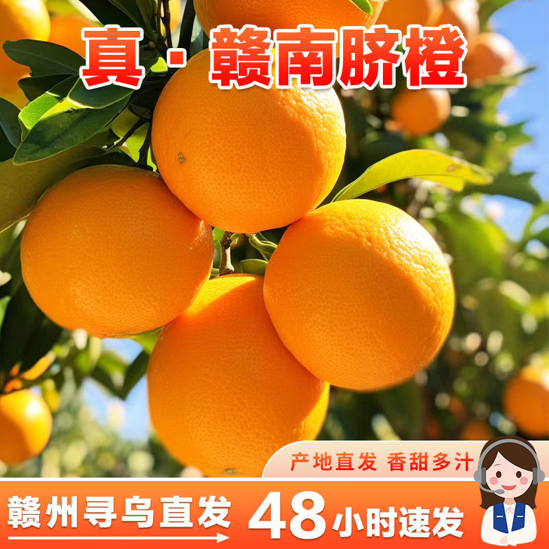 【果园速发】正宗赣南脐橙当季特橙子新鲜水果纽荷尔手剥甜橙子