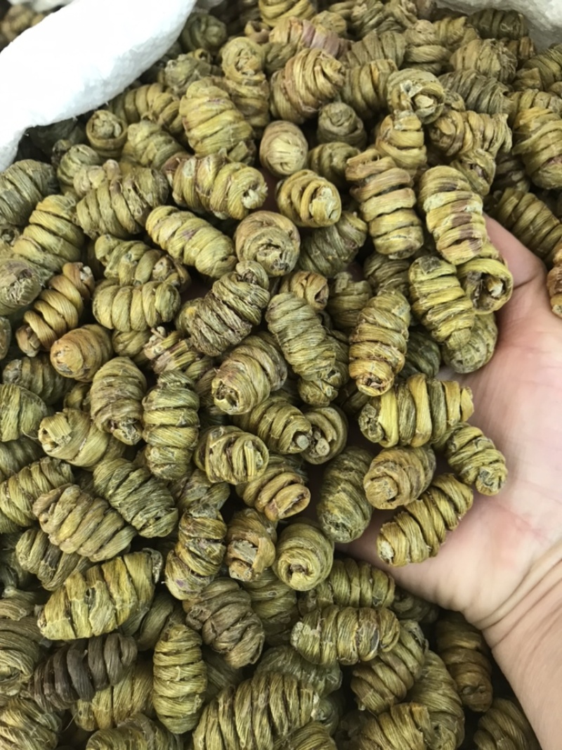 精选铁皮石斛枫斗颗粒切片干条非霍山铁皮石斛粉直接冲水喝