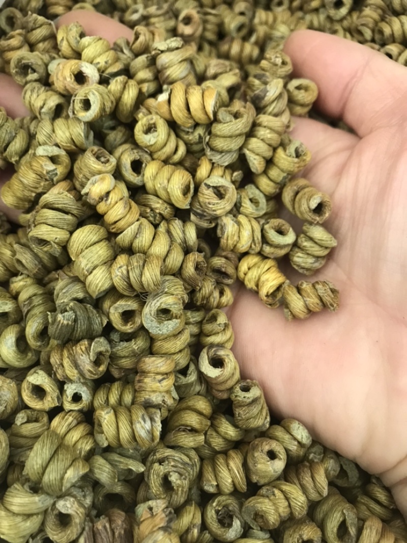 精选铁皮石斛枫斗颗粒切片干条非霍山铁皮石斛粉直接冲水喝