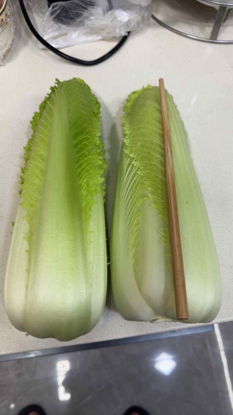 云南高山龙牙菜