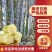 云南黑皮甘蔗大量上市，可大量供应市场，电商商超