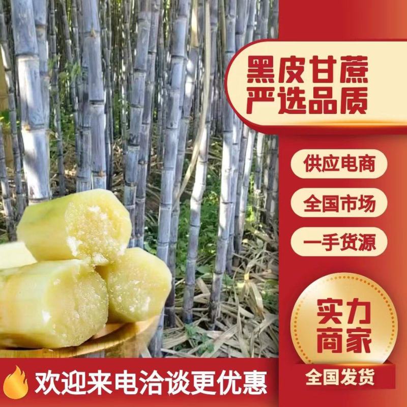 云南黑皮甘蔗大量上市，可大量供应市场，电商商超