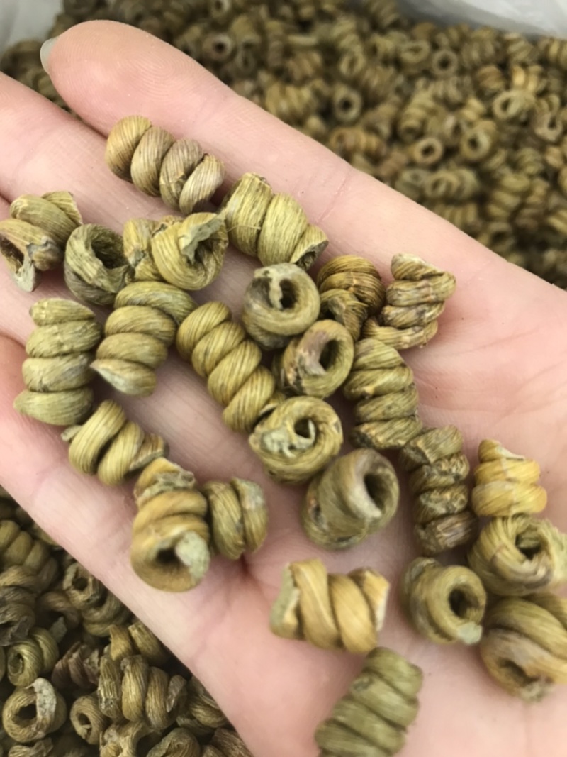 精选铁皮石斛枫斗颗粒切片干条非霍山铁皮石斛粉直接冲水喝