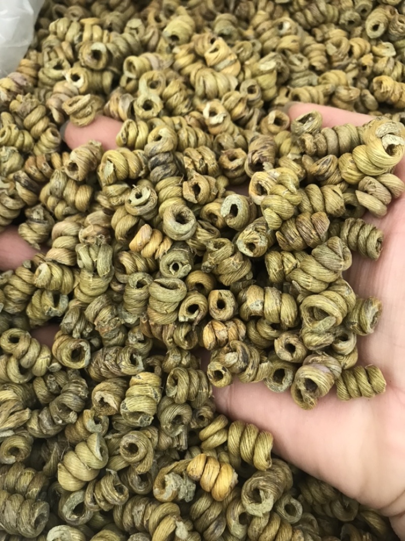精选铁皮石斛枫斗颗粒切片干条非霍山铁皮石斛粉直接冲水喝