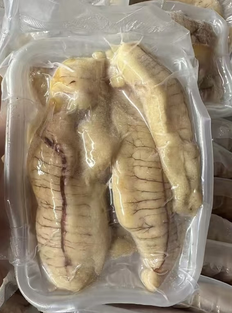 黄花鱼蛋