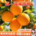 【果园速发】一件代发赣南脐橙当季特橙子新鲜水果纽荷尔手剥