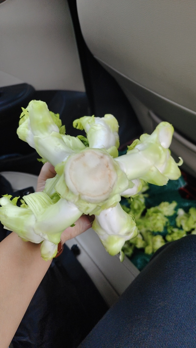 儿菜四川儿菜毛货净货对接商超，光儿子厂货均大量有货