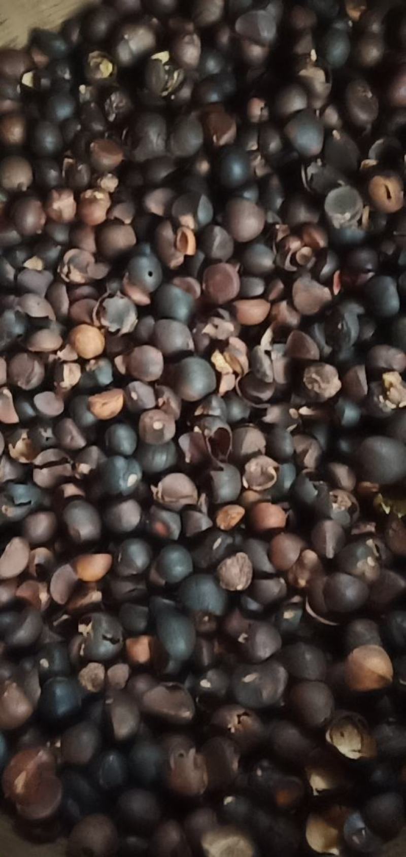 山茶油