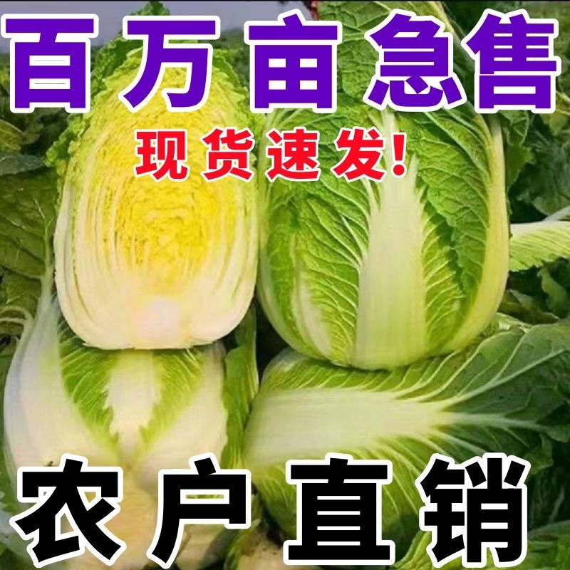 拼多多，淘宝，抖音，小红书，一件代发。提供直播场地食宿。