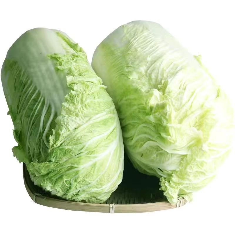 拼多多，淘宝，抖音，小红书，一件代发。提供直播场地食宿。