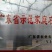 红肉脐橙