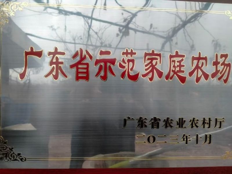 红肉脐橙