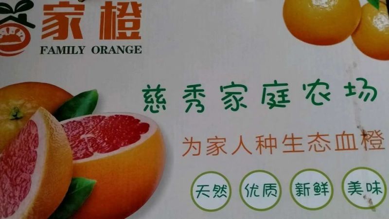 红肉脐橙