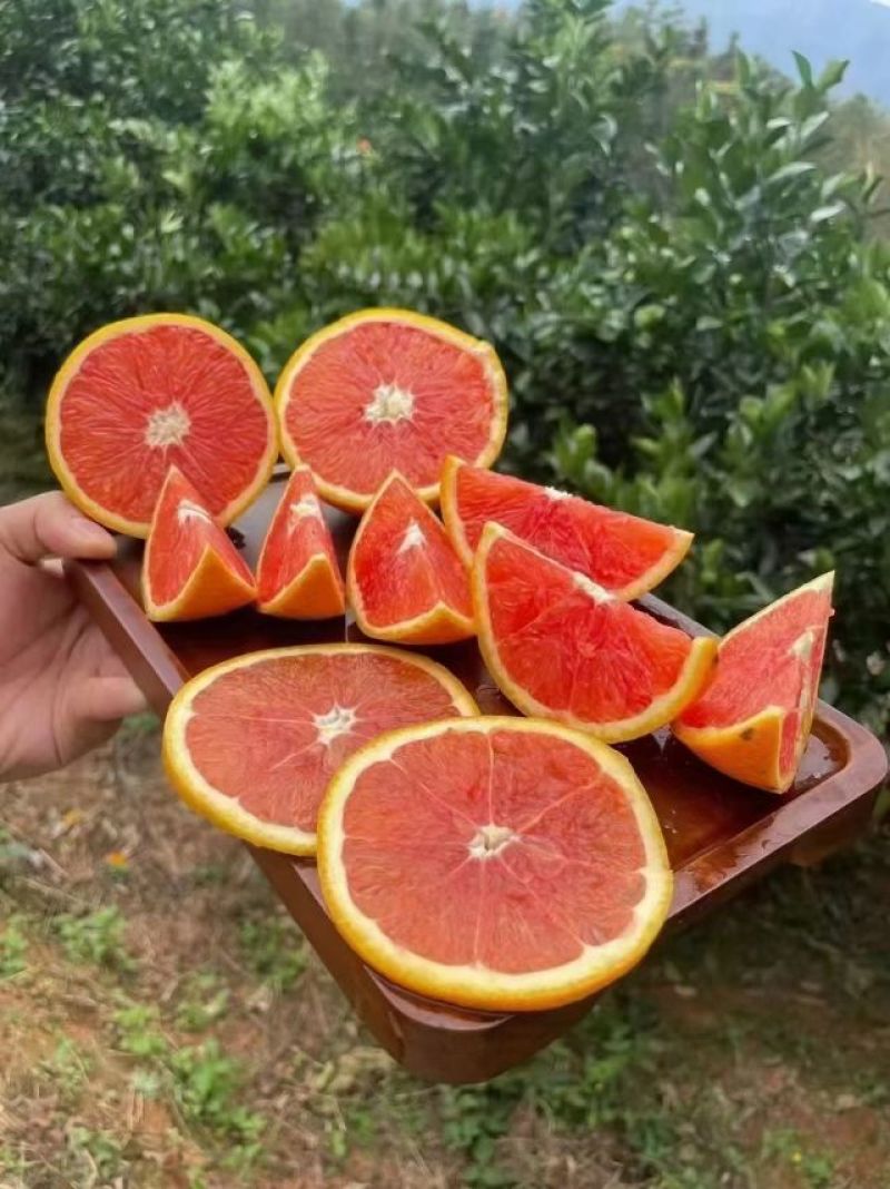 红肉脐橙