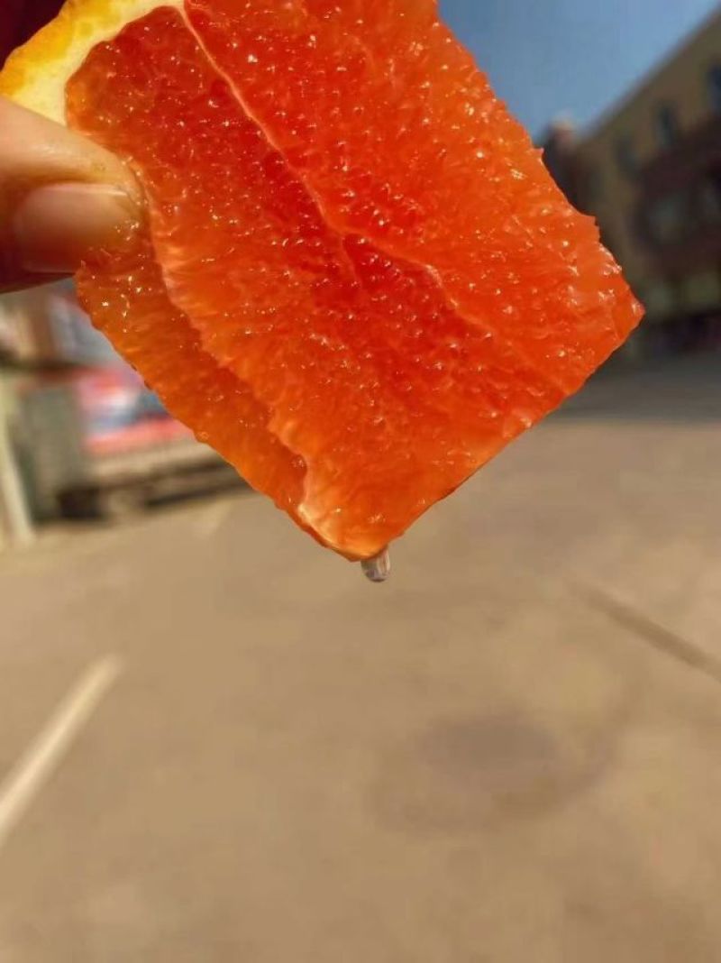 红肉脐橙