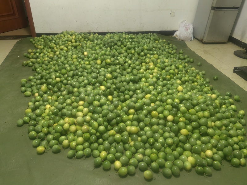 黄金百香果新鲜采摘的量大价格优惠