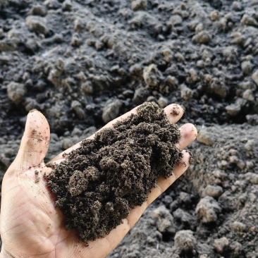 【热销】蚯蚓粪有机肥营养土肥料禽畜粪便微生物菌肥化肥底肥基肥