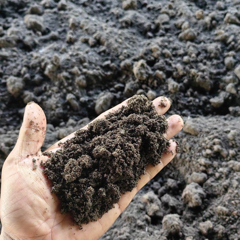 【热销】蚯蚓粪有机肥营养土肥料禽畜粪便微生物菌肥化肥底肥基肥
