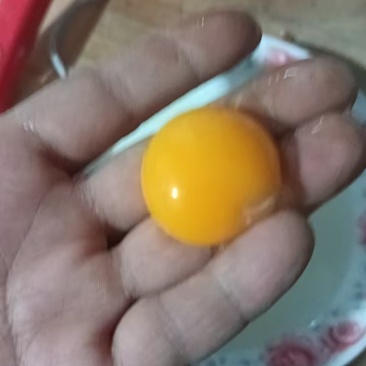 出售受精蛋，可孵化小鸡！