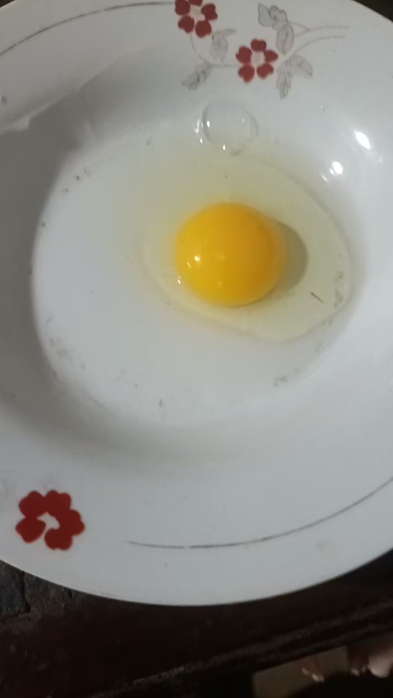 出售受精蛋，可孵化小鸡！