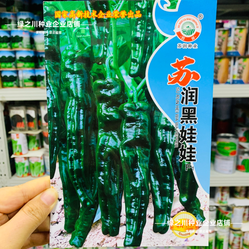 黑娃娃皱皮椒种子大黑皱皮辣椒种子薄皮早熟香辣高产特辣羊角