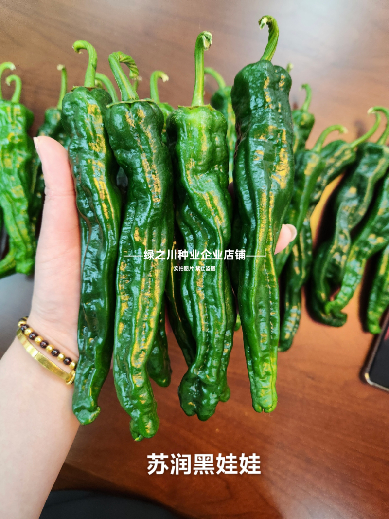 黑娃娃皱皮椒种子大黑皱皮辣椒种子薄皮早熟香辣高产特辣羊角