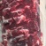 大量批发鲜牛肉，每天现宰现卖，厂家直销无中间商，