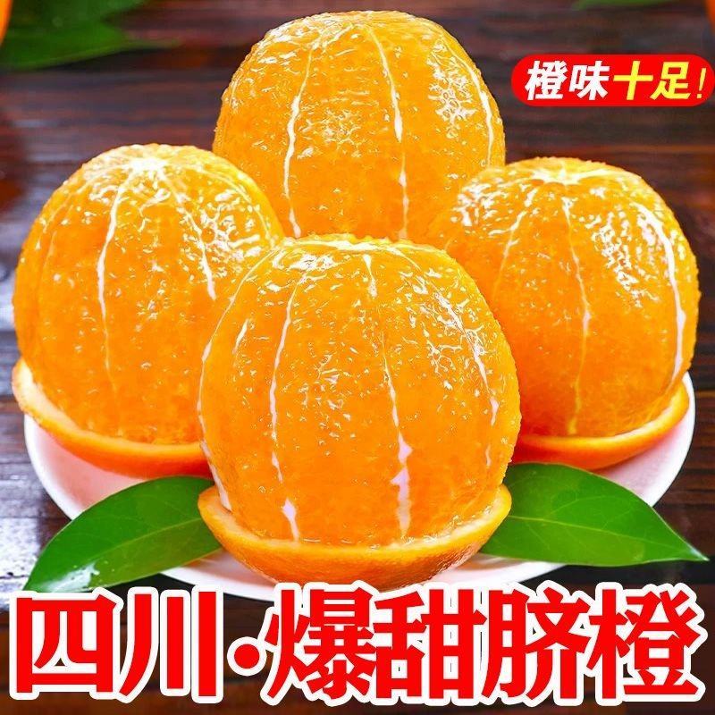 【5斤9斤新鲜脐橙】一件发货橙子甜橙子当季新鲜水果整
